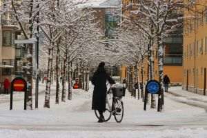 Extreme winter in Argentina: cold records and nine deaths in ten days